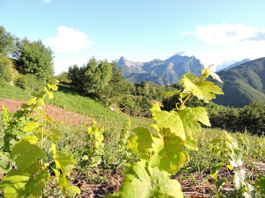 Rifugio Alpi Apuane Hotel Careggine Ngoại thất bức ảnh
